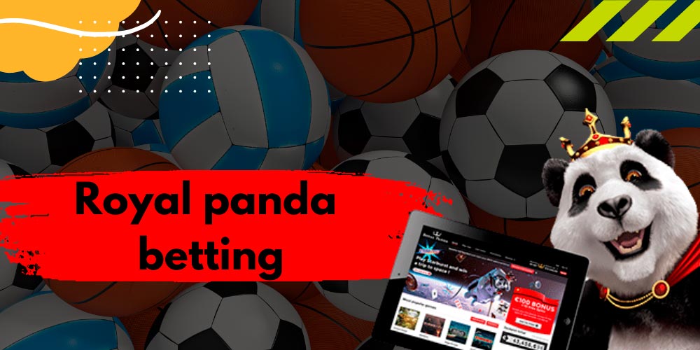 Royal panda betting positive