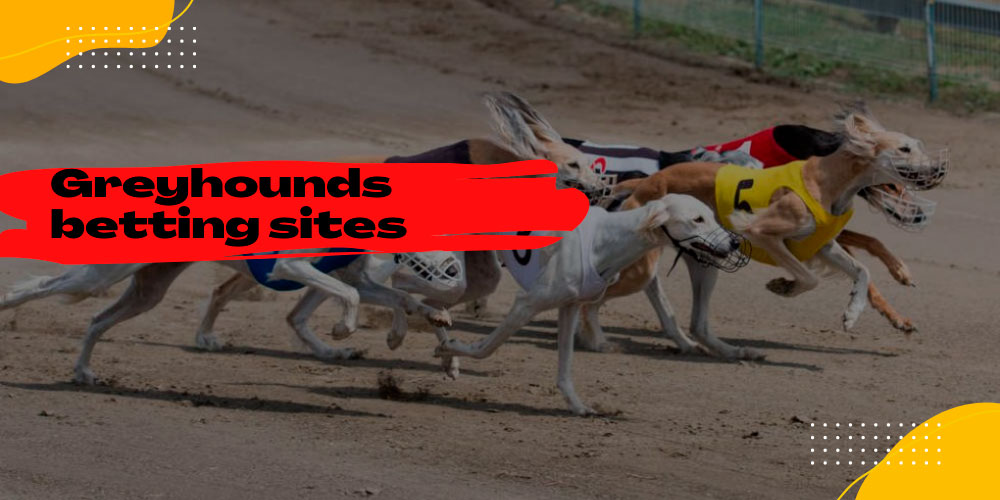 greyhounds betting sites